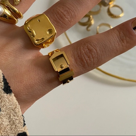 Belt ring - Picture 2 of 3